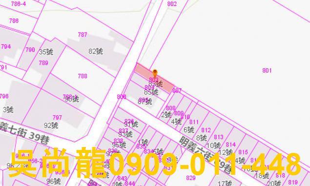 花蓮吉安法拍透天-3