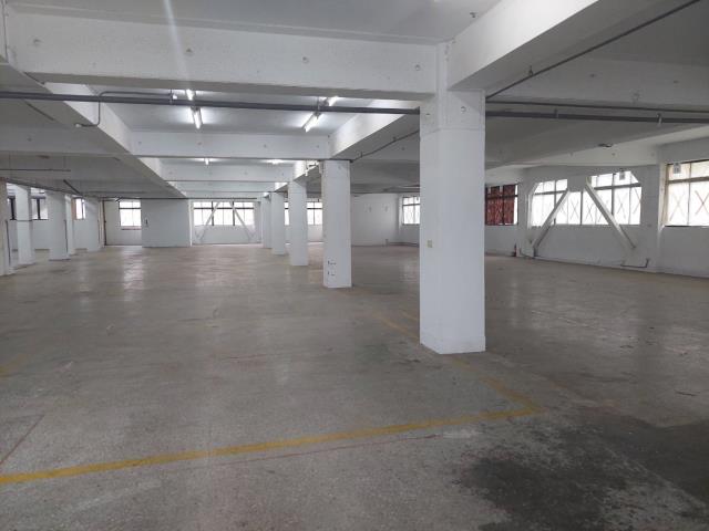 新北新莊廠房-6