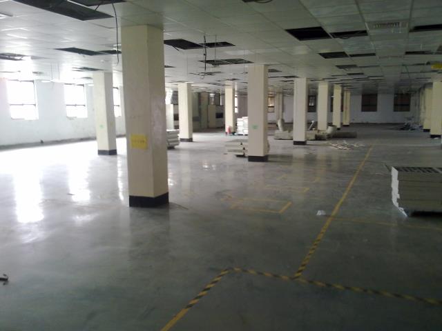 桃園中壢廠房-2