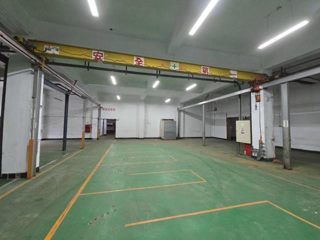 桃園中壢廠房-2