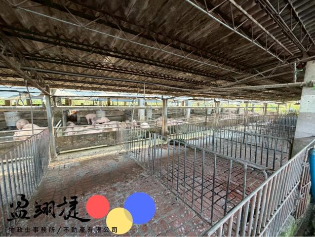 屏東麟洛豬舍-6