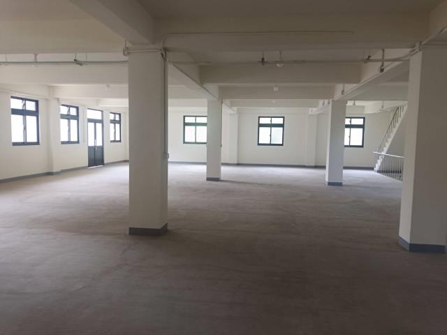 新北鶯歌廠房-2