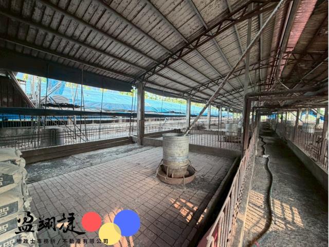 屏東竹田豬舍-3
