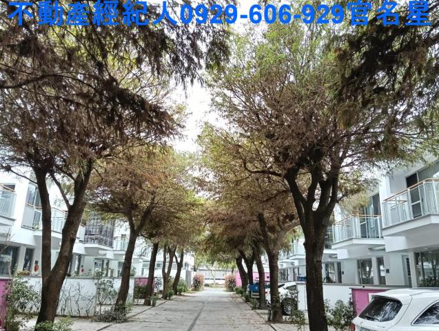 嘉義大林透天-1