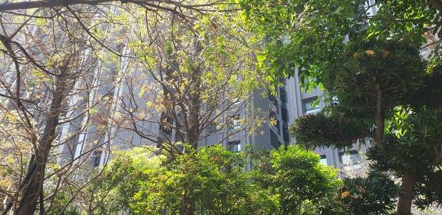 台中南區大樓-3