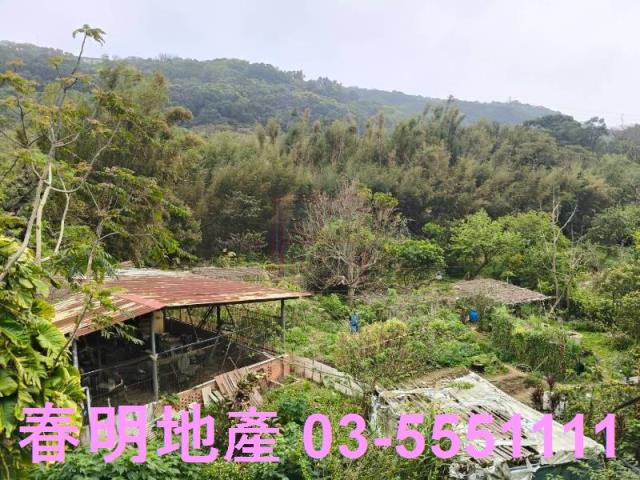 新竹湖口透天-6