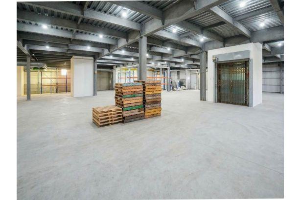 新北林口廠房-1