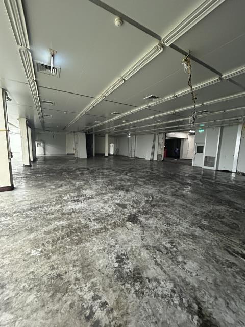 桃園龍潭廠房-5