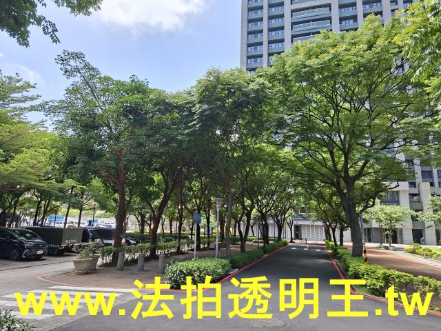 新北林口法拍大樓-8