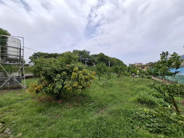 台中透天-8