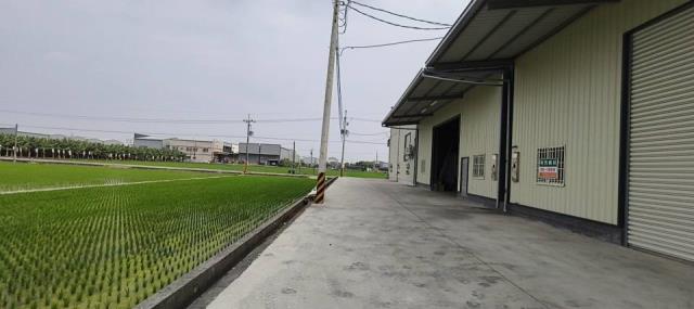 高雄大寮廠房-3