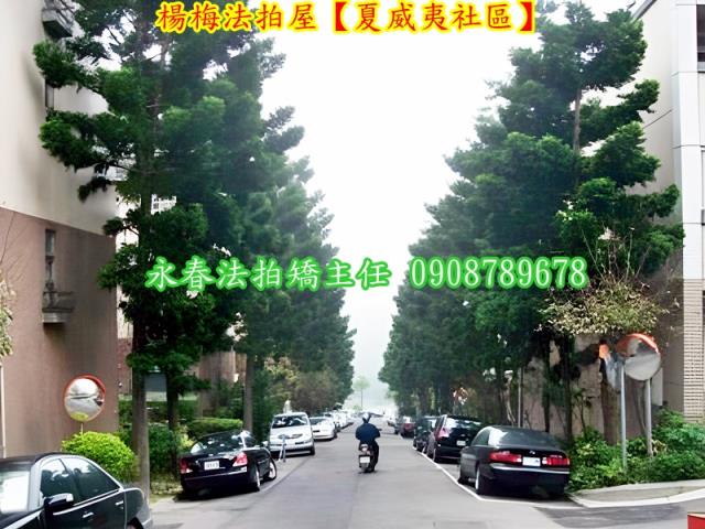 桃園透天拍賣-8