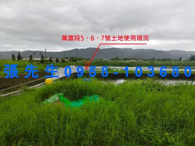 壽豐法拍農舍-6