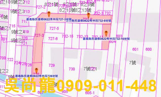 嘉義民雄法拍透天-3