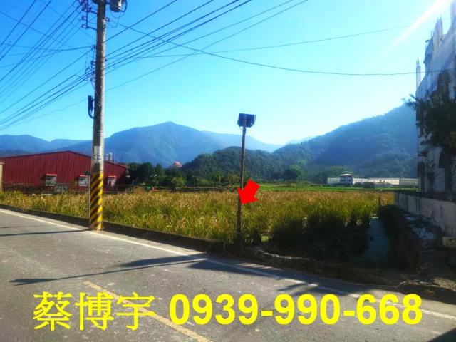 埔里法拍屋珠生路透天