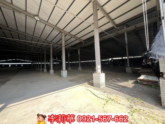 南投竹山養菇場-4