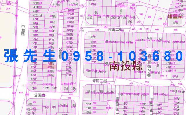 南投埔里透天法拍-3