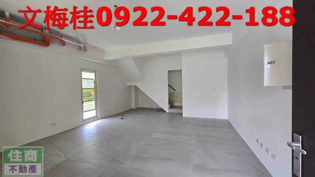 宜蘭宜蘭市別墅-3