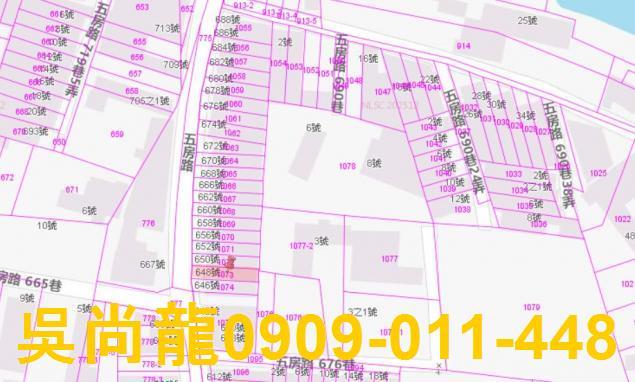 新園法拍透天-3