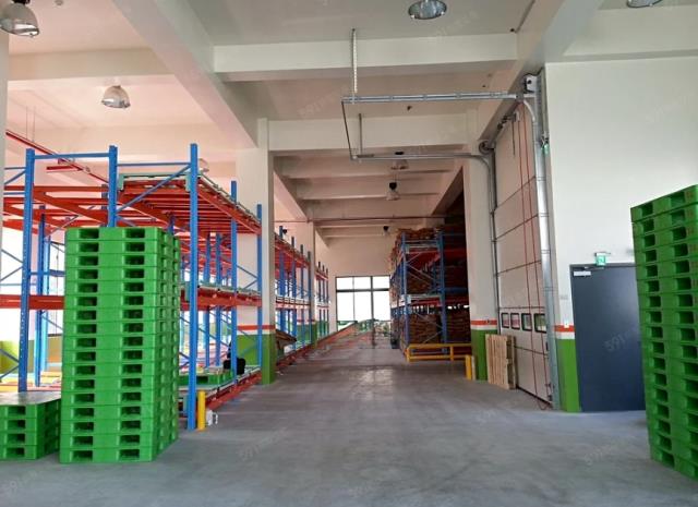 楊梅廠房-2
