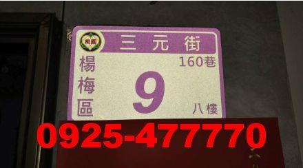 桃園楊梅拍賣華廈-6