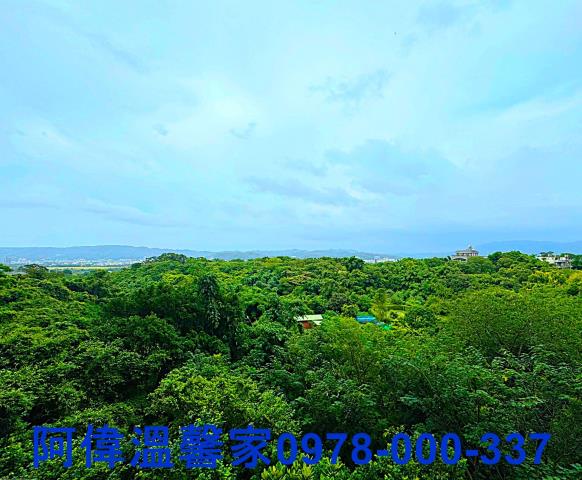 新竹竹東大樓-3