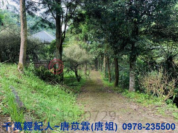 新竹竹東農舍-5