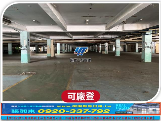 桃園觀音廠房-3