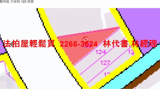 新北樹林法拍透天-11