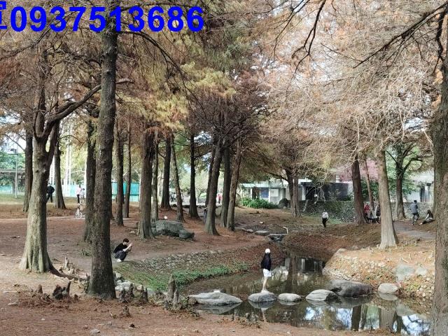 羅東華廈-15