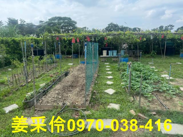 嘉義中埔透天-5
