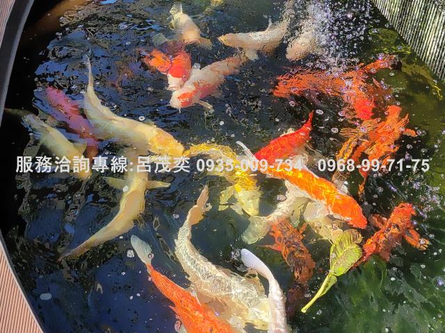 台北信義區大樓-2