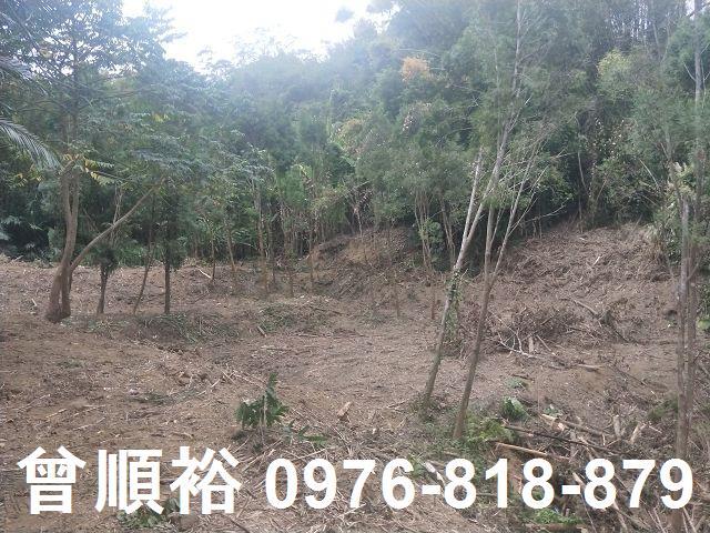 竹東農地-10