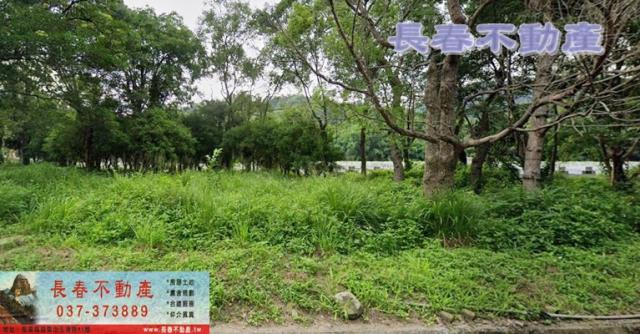 苗栗獅潭林地-1