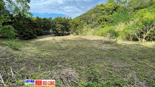 南庄農地-5