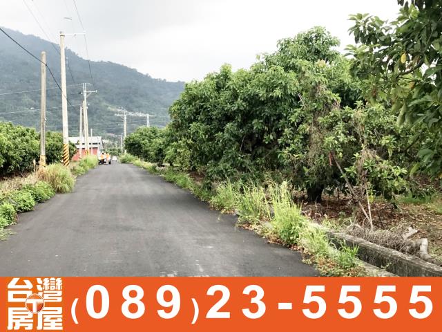 鑽石台東房地產買賣