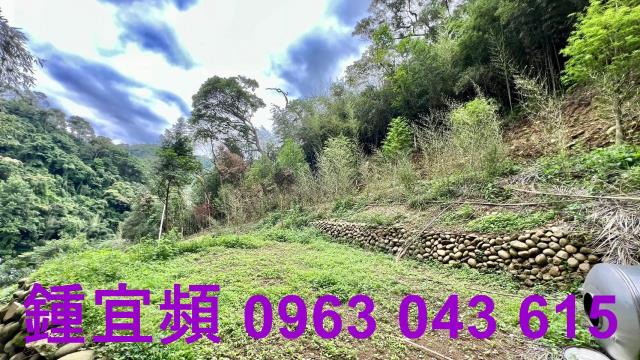 新竹農地-8