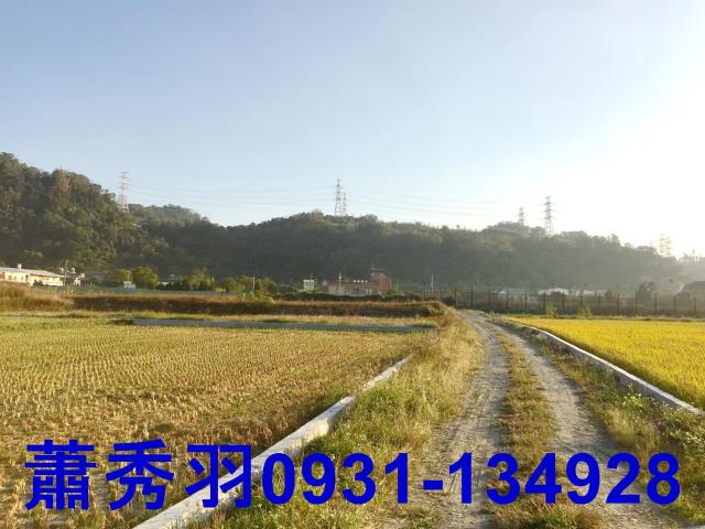 后里農地-1