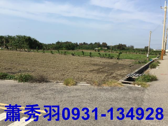 苗栗苑裡農地-2