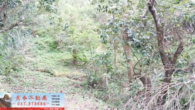 苗栗頭屋農地-1