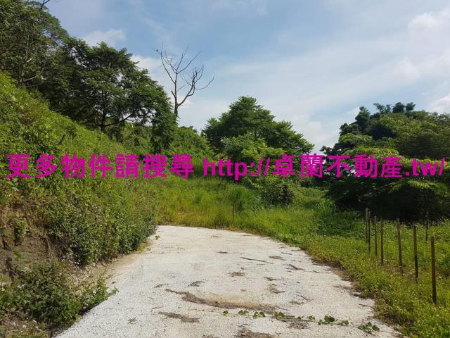 苗栗農地-5