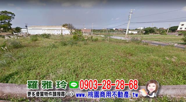 桃園建地-5