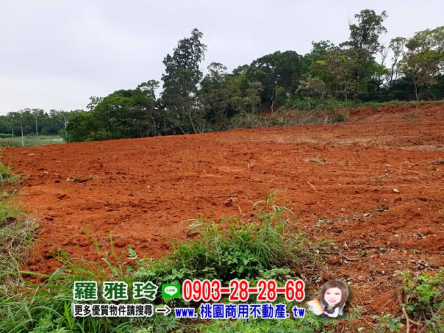 桃園楊梅農地-4