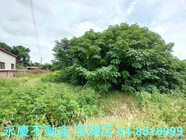 溪州建地-3