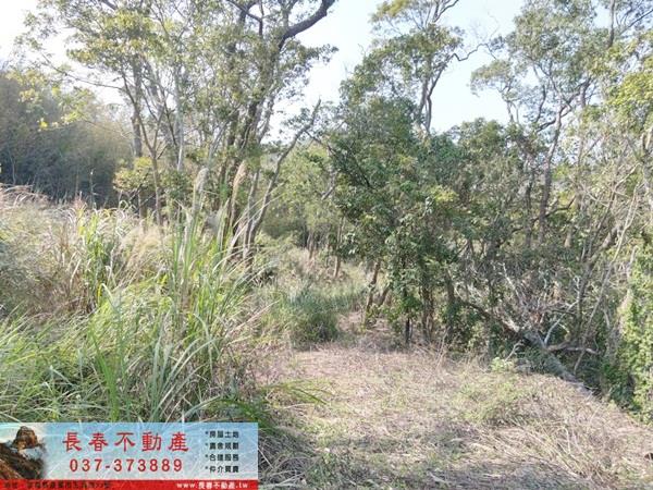 苗栗建地-1