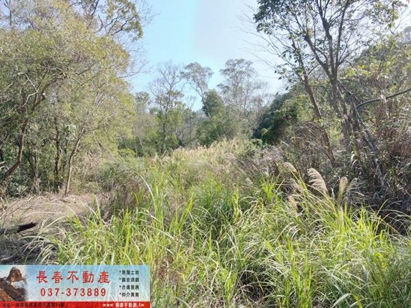 苗栗建地-8