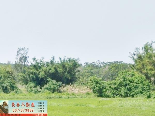 造橋農地-1