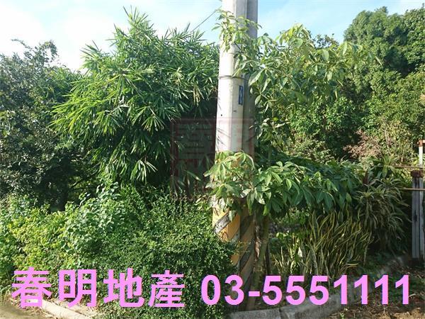 香山農地-6