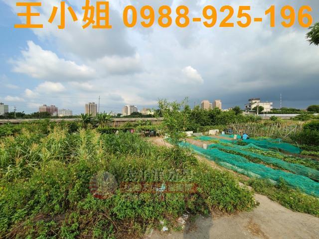 桃園平鎮農地-3