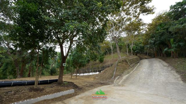 新竹北埔農地-15